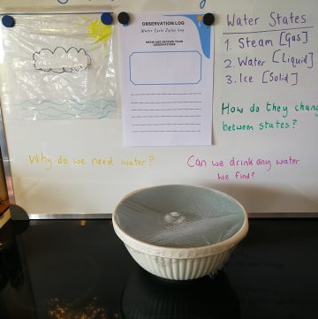 Hands on experiment to demonstrate the Water Cycle