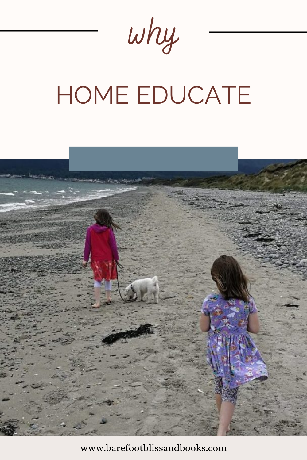 Two Girls walking on a beach with their dog