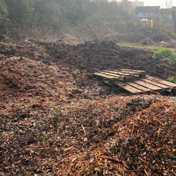 Picture of organic mulch at the allotment
