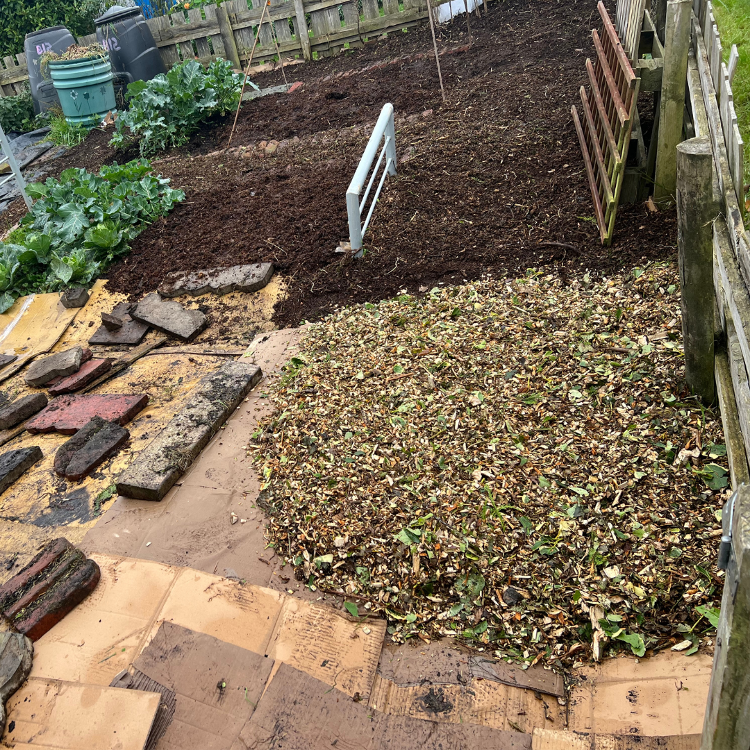 Image of an allotment garden using a no dig approach