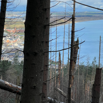 Looking over Newcastle County Down from the mountains above