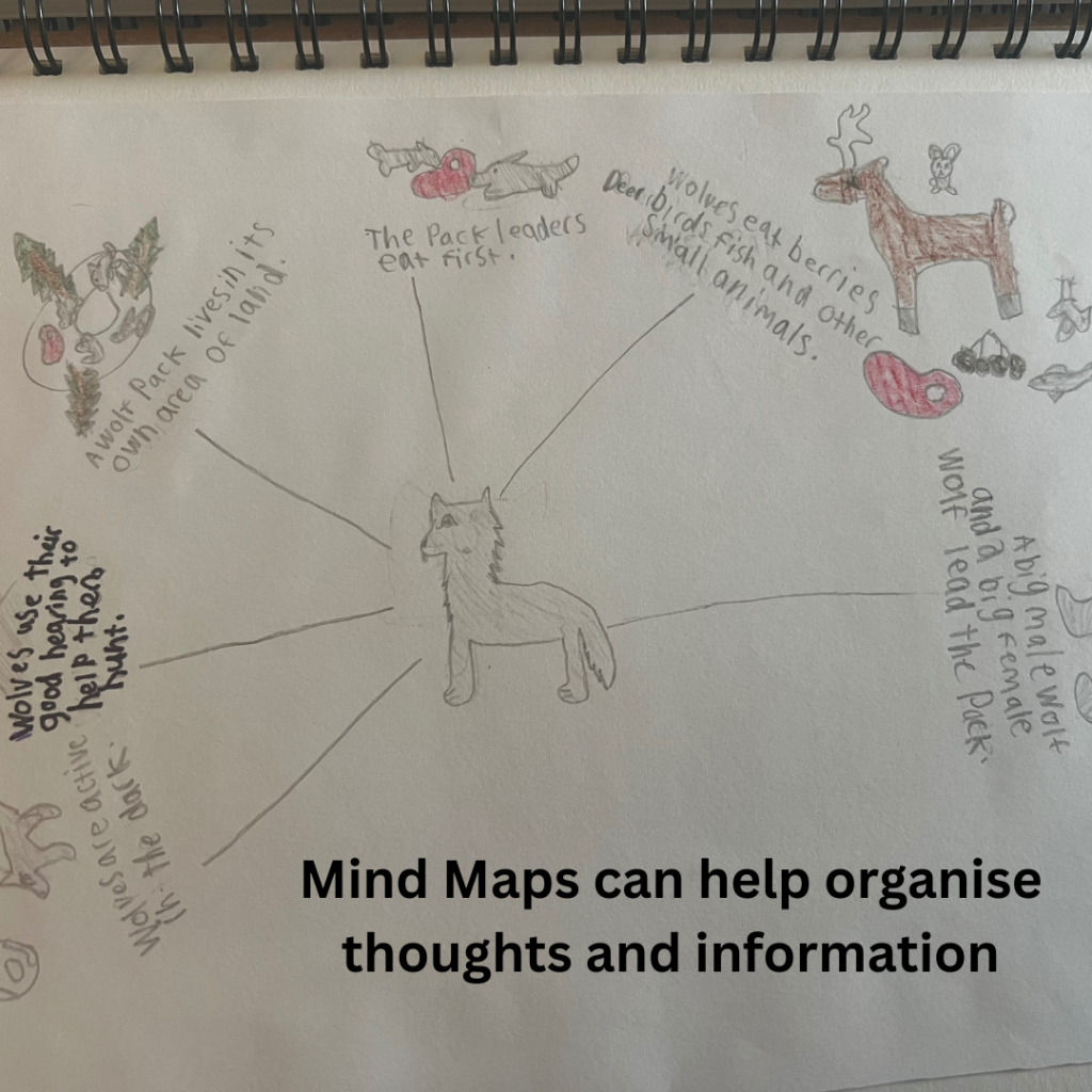 Mind map on wolves drawn by one of my children